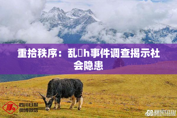 重拾秩序：乱婬h事件调查揭示社会隐患