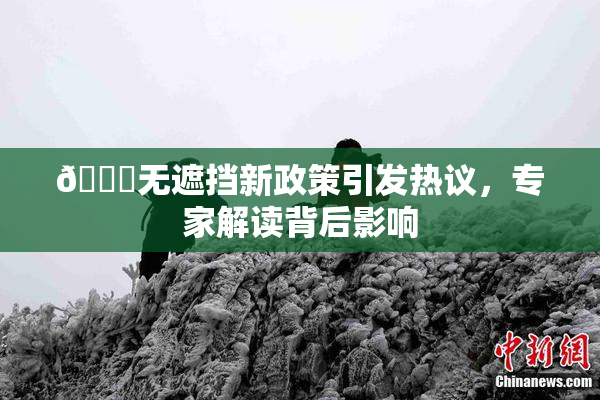 🔞无遮挡新政策引发热议，专家解读背后影响