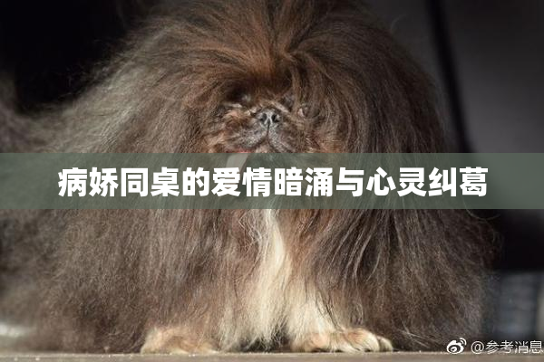 病娇同桌的爱情暗涌与心灵纠葛