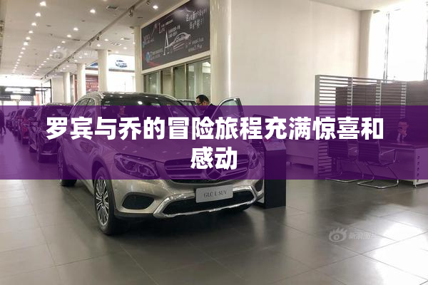 罗宾与乔的冒险旅程充满惊喜和感动