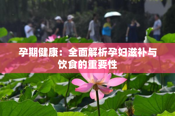 孕期健康：全面解析孕妇滋补与饮食的重要性
