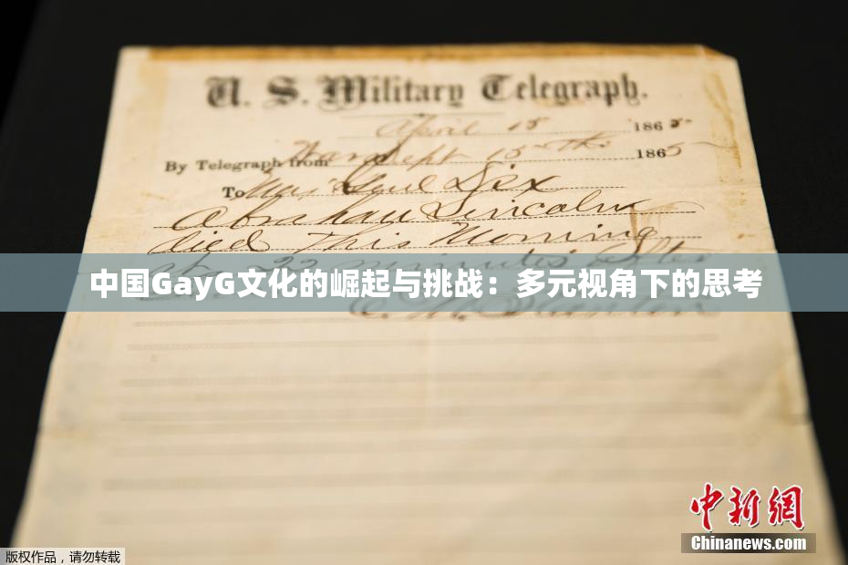 中国GayG文化的崛起与挑战：多元视角下的思考