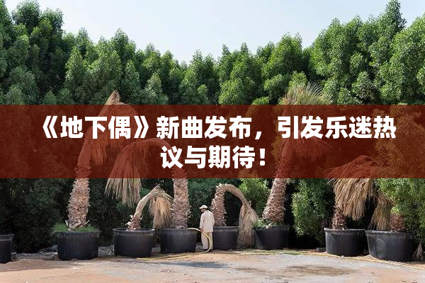 《地下偶》新曲发布，引发乐迷热议与期待！