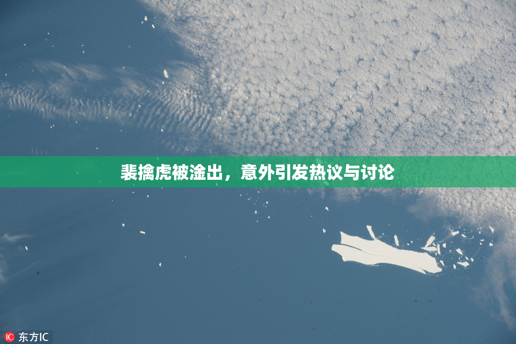 裴擒虎被淦出，意外引发热议与讨论