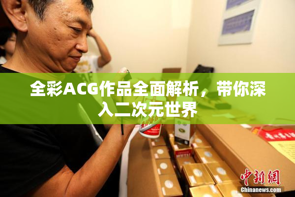 全彩ACG作品全面解析，带你深入二次元世界