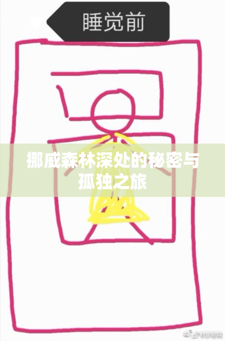 挪威森林深处的秘密与孤独之旅