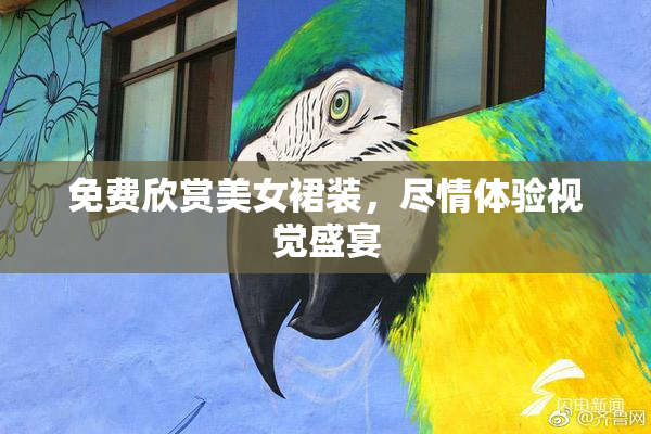 免费欣赏美女裙装，尽情体验视觉盛宴