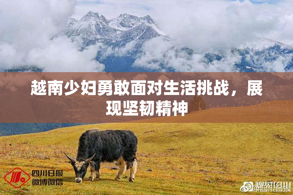越南少妇勇敢面对生活挑战，展现坚韧精神