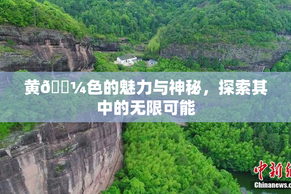 黄🌼色的魅力与神秘，探索其中的无限可能