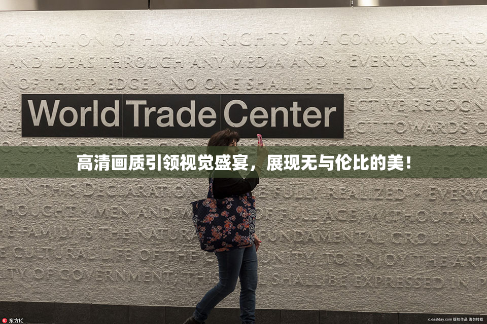 高清画质引领视觉盛宴，展现无与伦比的美！