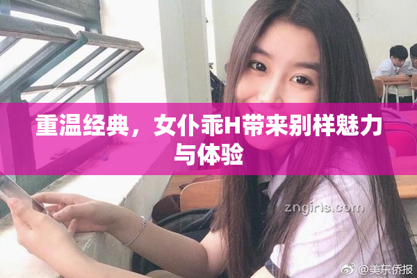 重温经典，女仆乖H带来别样魅力与体验