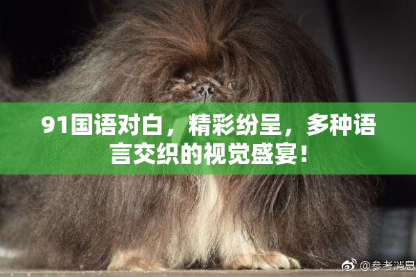 91国语对白，精彩纷呈，多种语言交织的视觉盛宴！