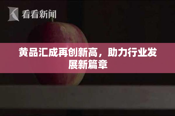 黄品汇成再创新高，助力行业发展新篇章