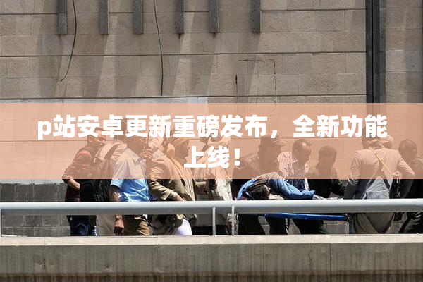 p站安卓更新重磅发布，全新功能上线！