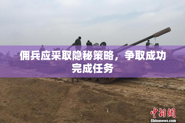 佣兵应采取隐秘策略，争取成功完成任务