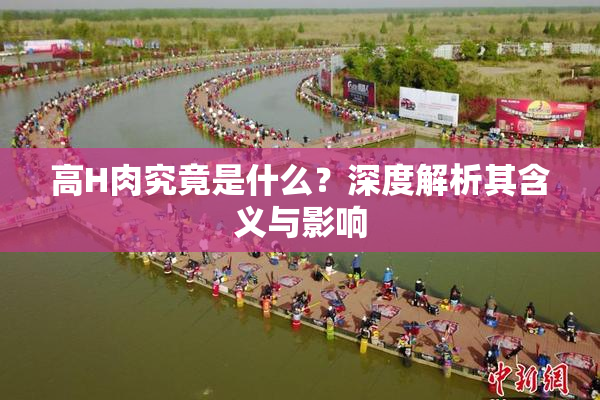 高H肉究竟是什么？深度解析其含义与影响
