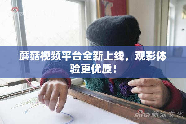 蘑菇视频平台全新上线，观影体验更优质！