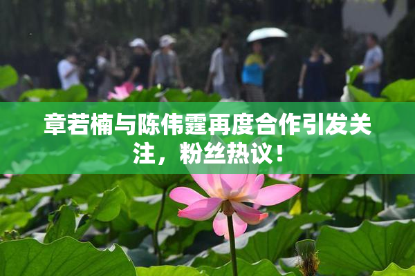 章若楠与陈伟霆再度合作引发关注，粉丝热议！