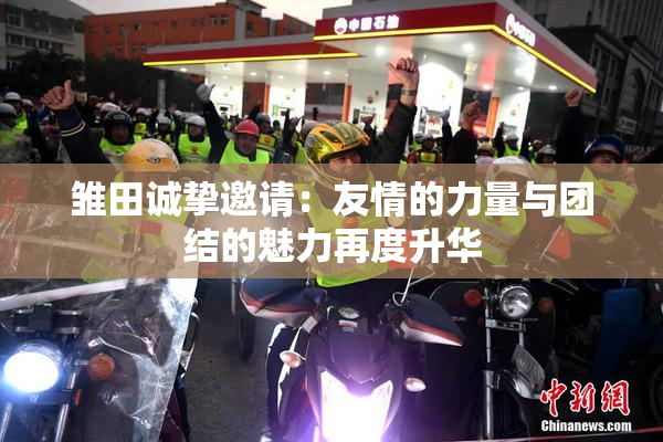 雏田诚挚邀请：友情的力量与团结的魅力再度升华
