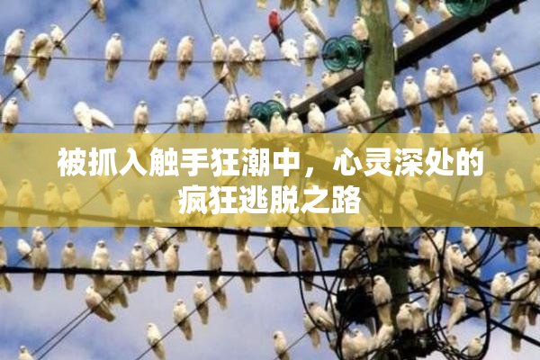 被抓入触手狂潮中，心灵深处的疯狂逃脱之路