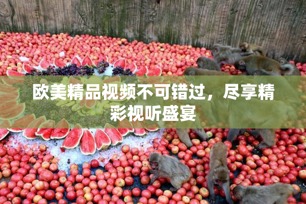 欧美精品视频不可错过，尽享精彩视听盛宴