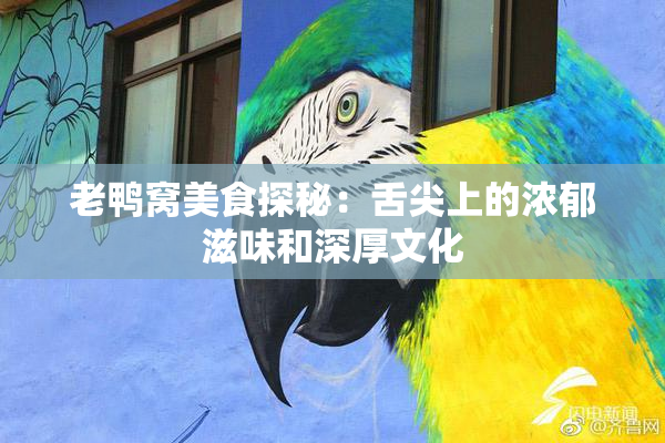老鸭窝美食探秘：舌尖上的浓郁滋味和深厚文化