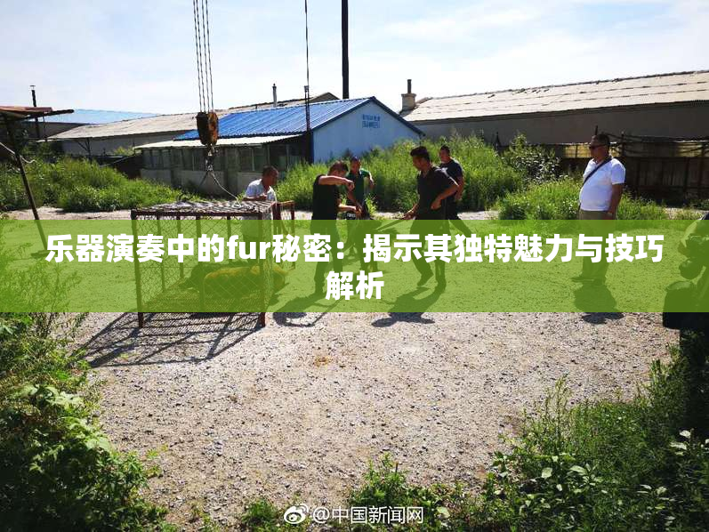 乐器演奏中的fur秘密：揭示其独特魅力与技巧解析