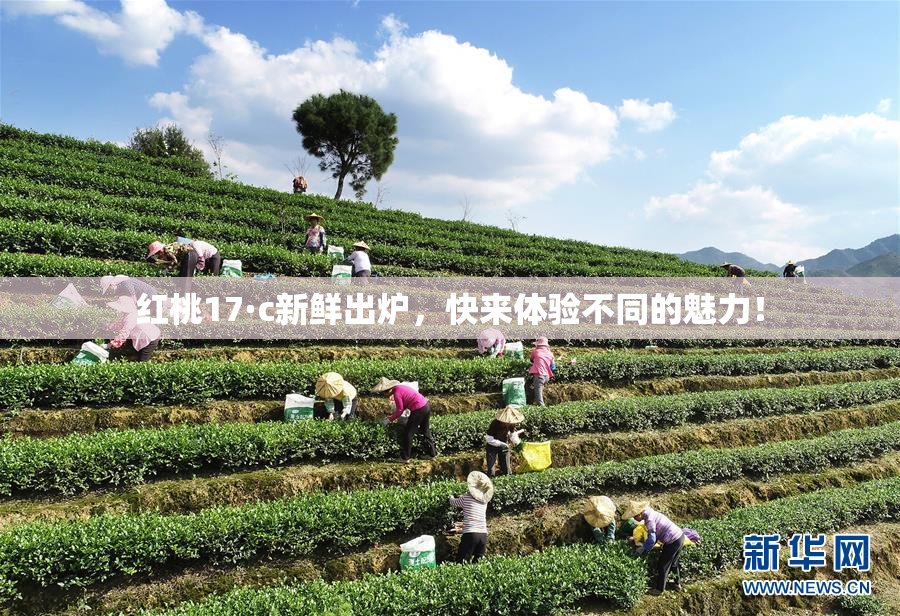 红桃17·c新鲜出炉，快来体验不同的魅力！