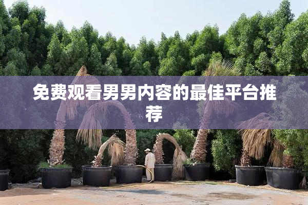 免费观看男男内容的最佳平台推荐