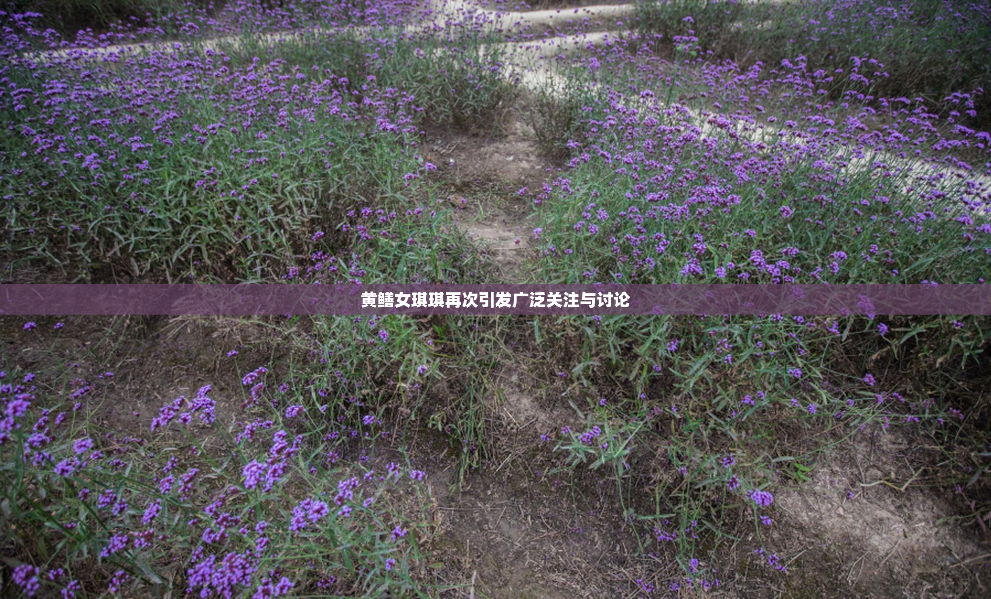 黄鳝女琪琪再次引发广泛关注与讨论