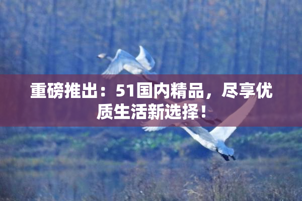 重磅推出：51国内精品，尽享优质生活新选择！