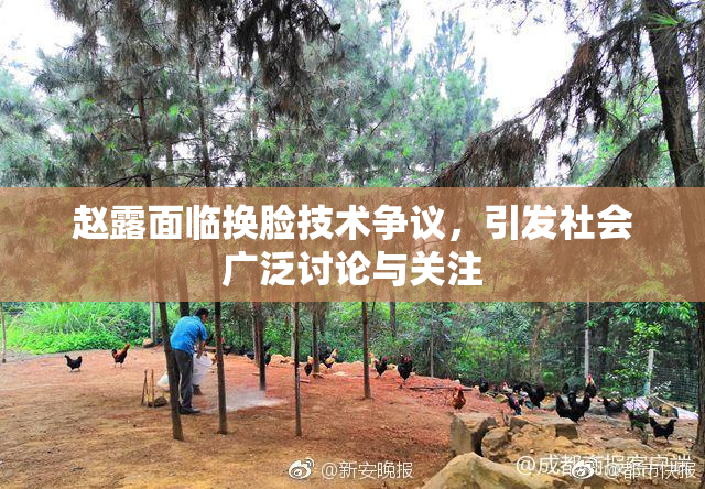 赵露面临换脸技术争议，引发社会广泛讨论与关注