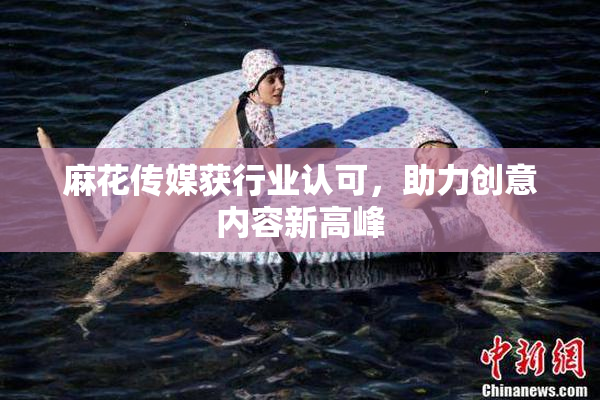 麻花传媒获行业认可，助力创意内容新高峰