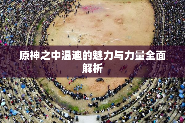 原神之中温迪的魅力与力量全面解析