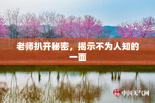 老师扒开秘密，揭示不为人知的一面