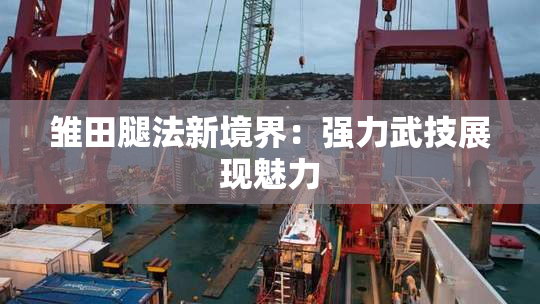 雏田腿法新境界：强力武技展现魅力