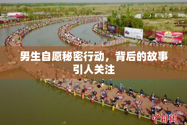 男生自愿秘密行动，背后的故事引人关注