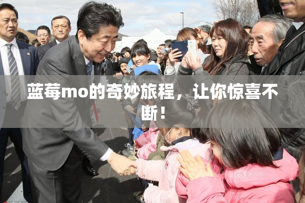 蓝莓mo的奇妙旅程，让你惊喜不断！