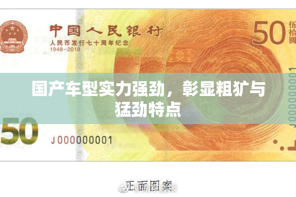 国产车型实力强劲，彰显粗犷与猛劲特点