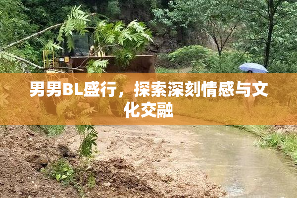 男男BL盛行，探索深刻情感与文化交融