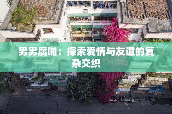 男男腐啪：探索爱情与友谊的复杂交织