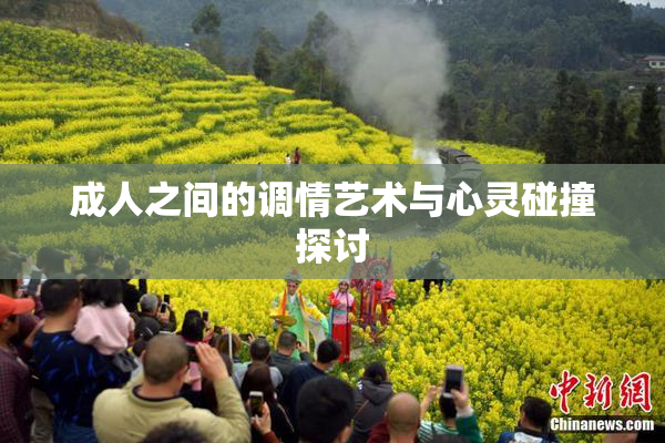 成人之间的调情艺术与心灵碰撞探讨