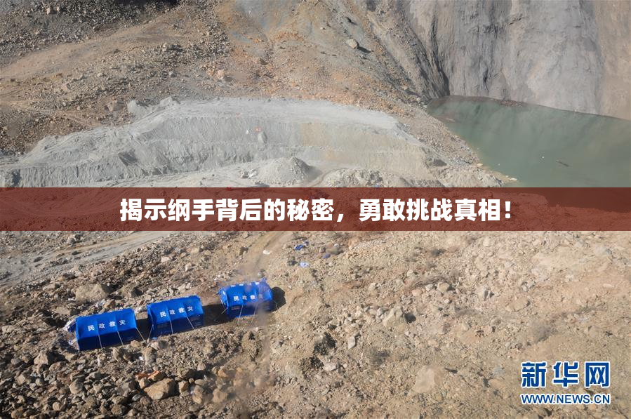 揭示纲手背后的秘密，勇敢挑战真相！