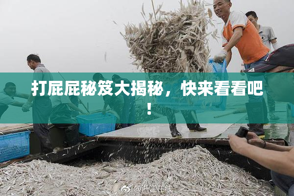 打屁屁秘笈大揭秘，快来看看吧！