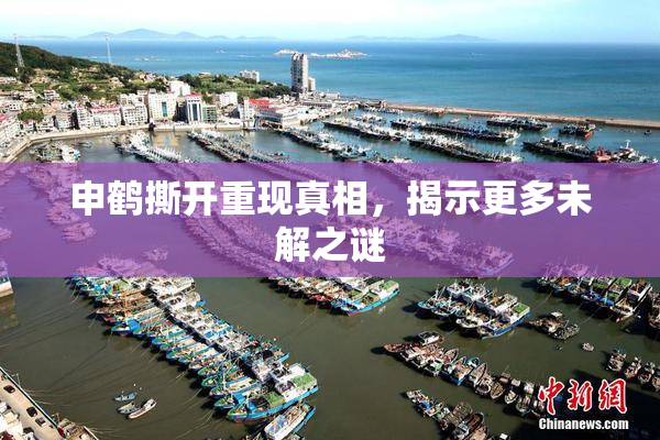 申鹤撕开重现真相，揭示更多未解之谜