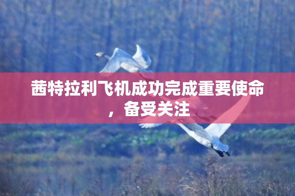 茜特拉利飞机成功完成重要使命，备受关注