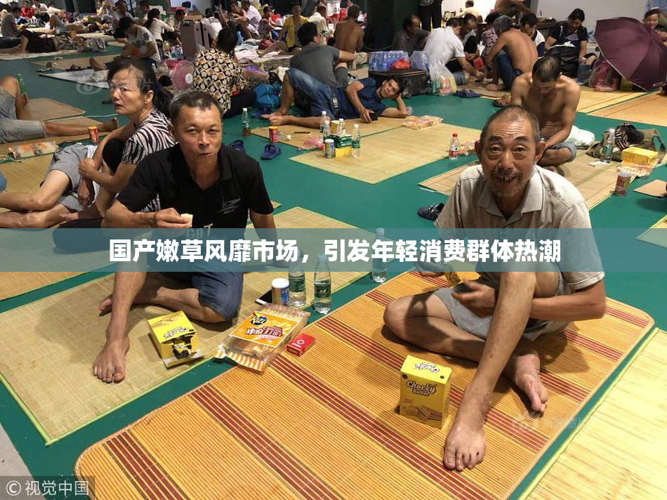 国产嫩草风靡市场，引发年轻消费群体热潮