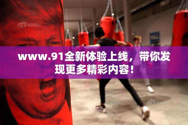 www.91全新体验上线，带你发现更多精彩内容！