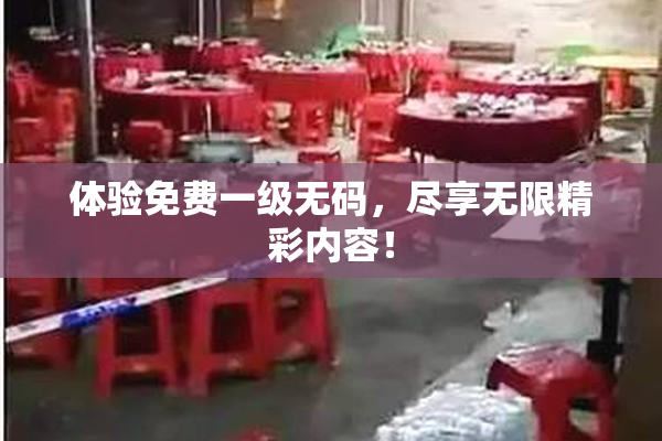 体验免费一级无码，尽享无限精彩内容！