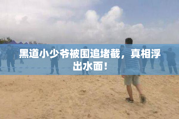 黑道小少爷被围追堵截，真相浮出水面！